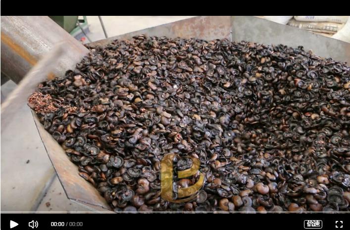 環保丁香花在线观看免费高清版炭化處理腰果外殼增加經濟效益
